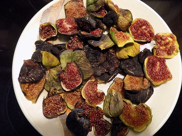 dried%20figs%20just%20right%20water%20content%20001