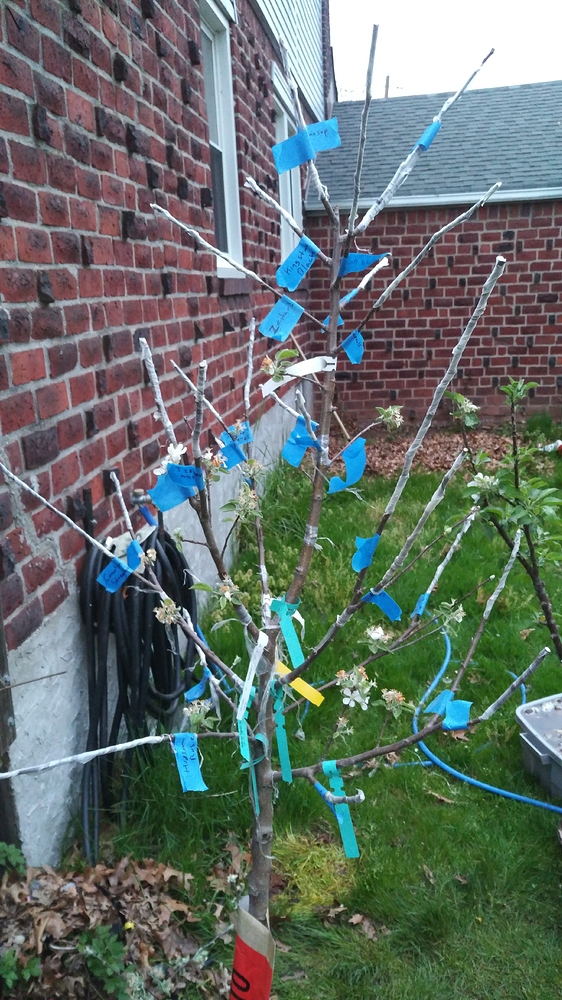 WP_20180507_19_51_44_Pro