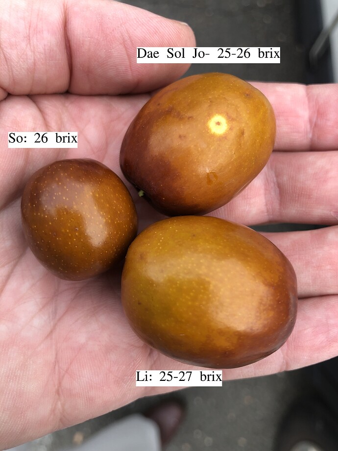 Fruit_haul_r_11-02-2021