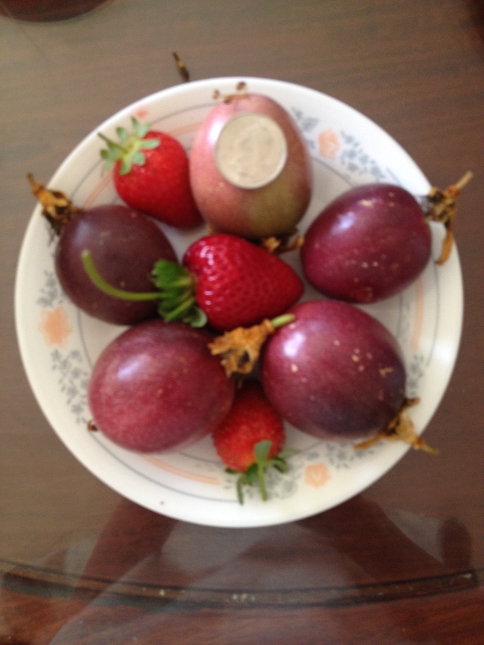 Passion%20Fruit%20%20