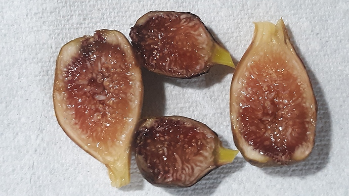 RdB%20and%20IC%208-8-19