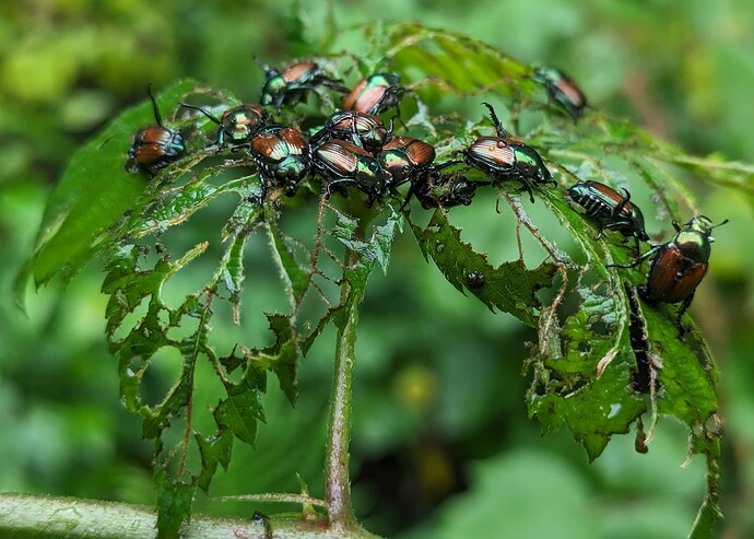 PXL_20230806_141123222