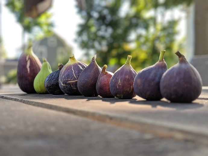 00100lPORTRAIT_00100_BURST20190928152406400_COVER