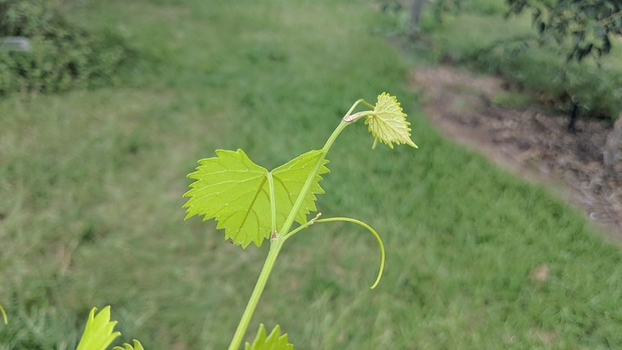 IMG_20190805_150717%5B1%5D