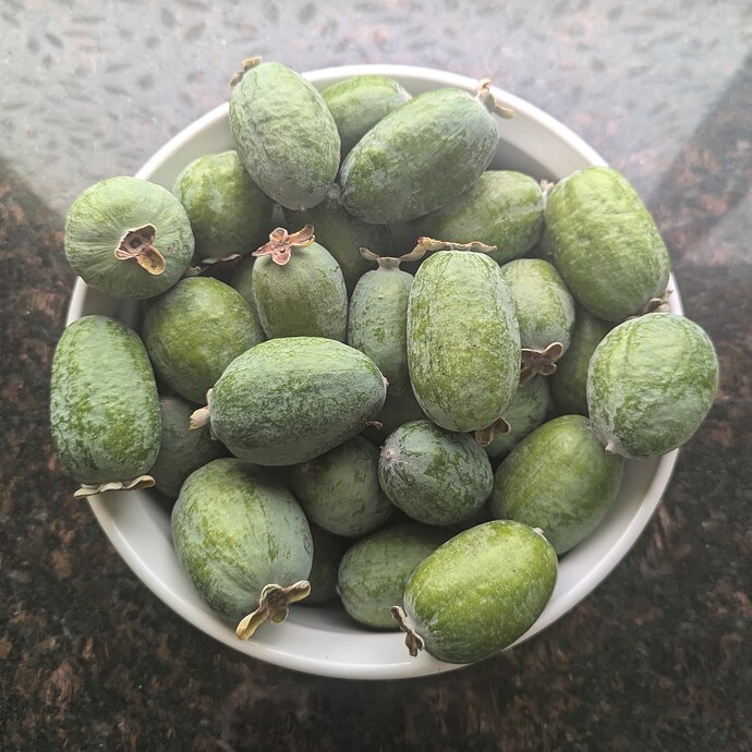 PXL_20241020_205229267