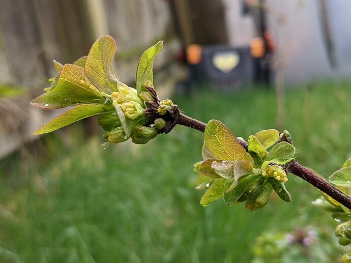 PXL_20220321_215100482