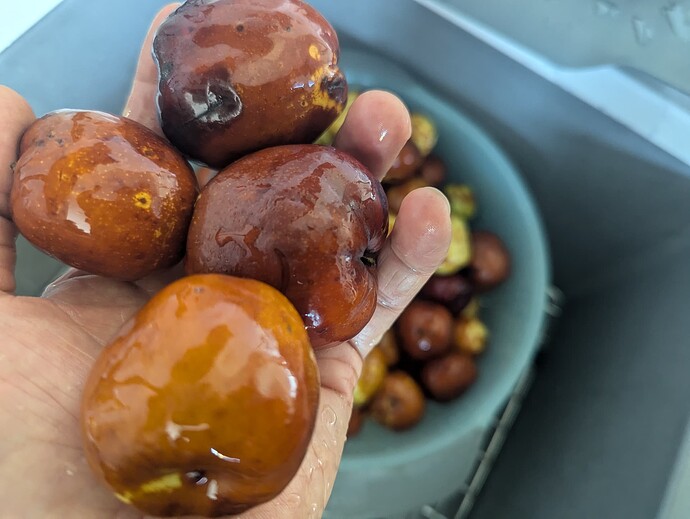 PXL_20241004_161129390.MP