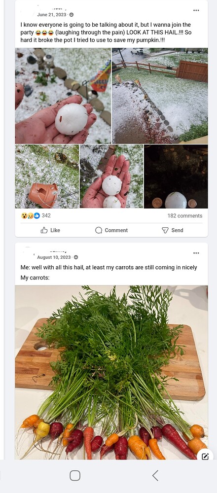 Screenshot_20241027_183836_Chrome