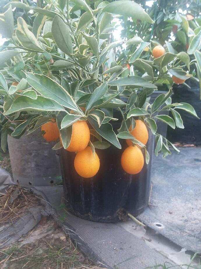 Resized_20220206_152010