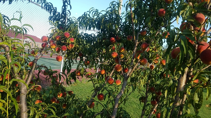 20180723_181603 - Copy