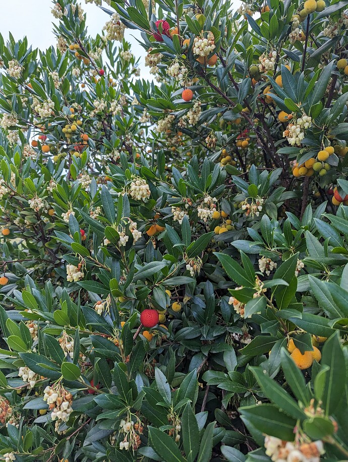 PXL_20231020_003154064