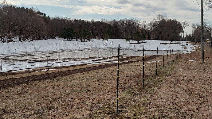 IMG_20250320_102034602_HDR