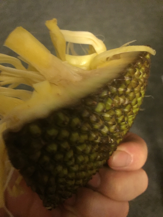 56A7A64D-891E-4A1F-98F6-D34E395940AC