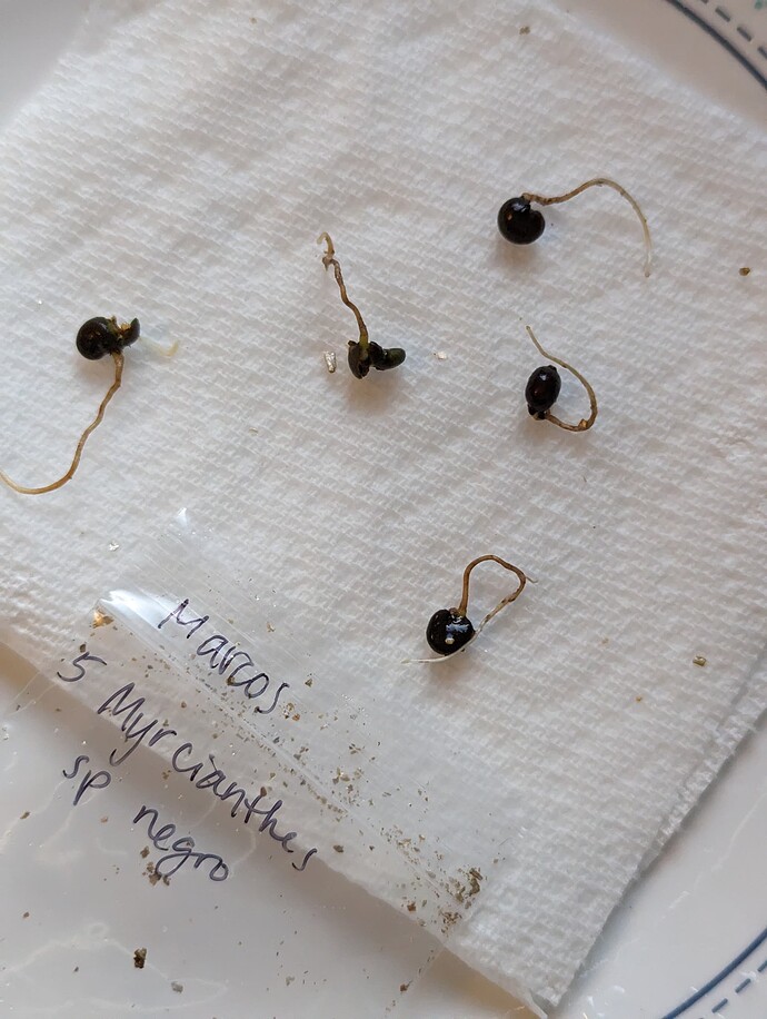 PXL_20240524_020521877