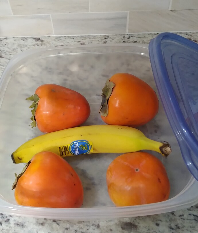 persimmon 20231203_051525