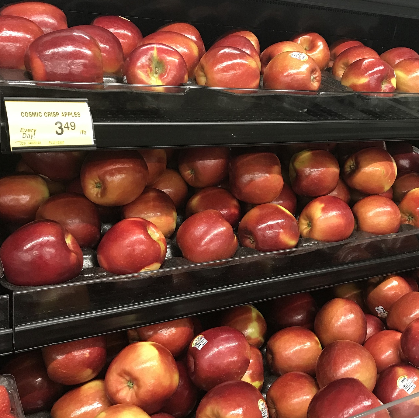 Get Ready for Cosmic Crisp Apples General Fruit Growing Growing Fruit