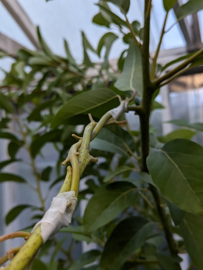 PXL_20240728_034529974