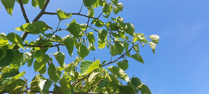 20250607_144616