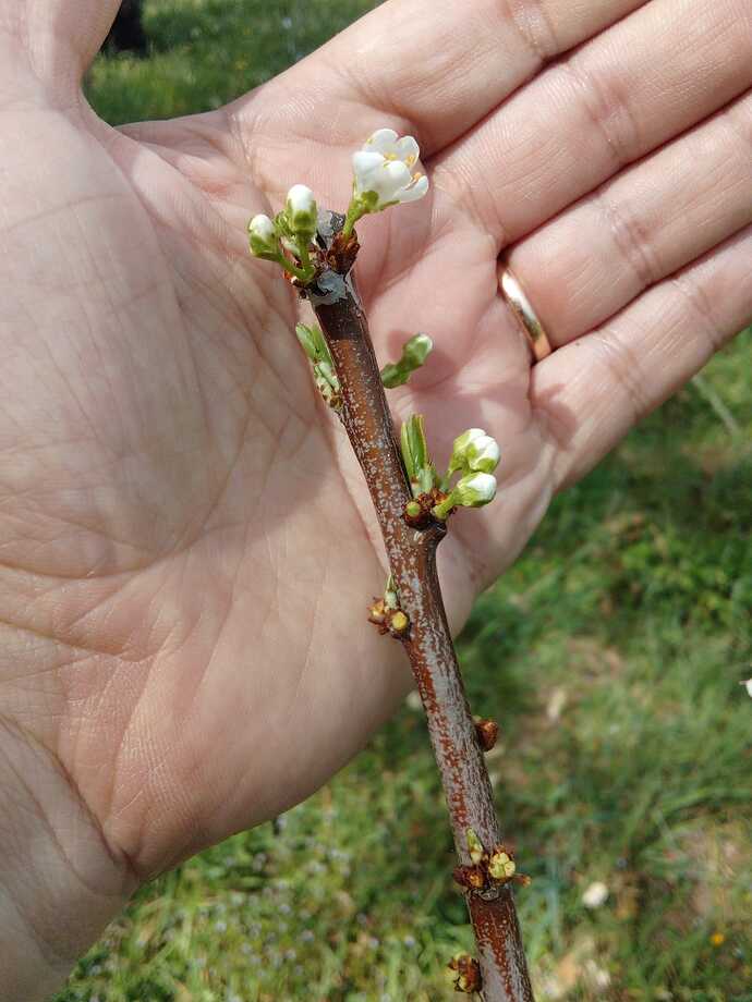 Imagem WhatsApp 2023-03-30 às 16.45.05