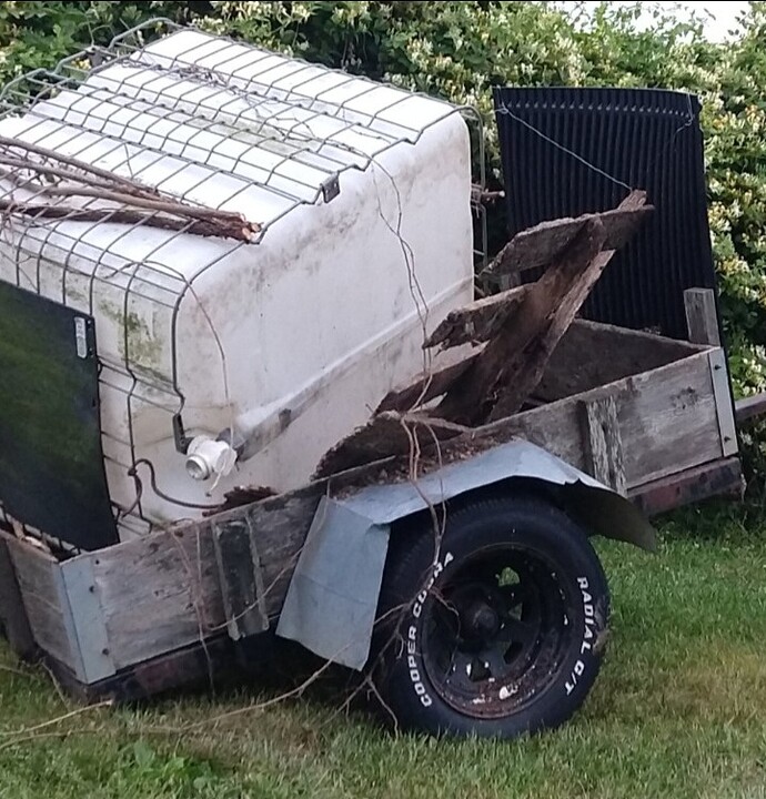 Screenshot_20241009_190046_Gallery