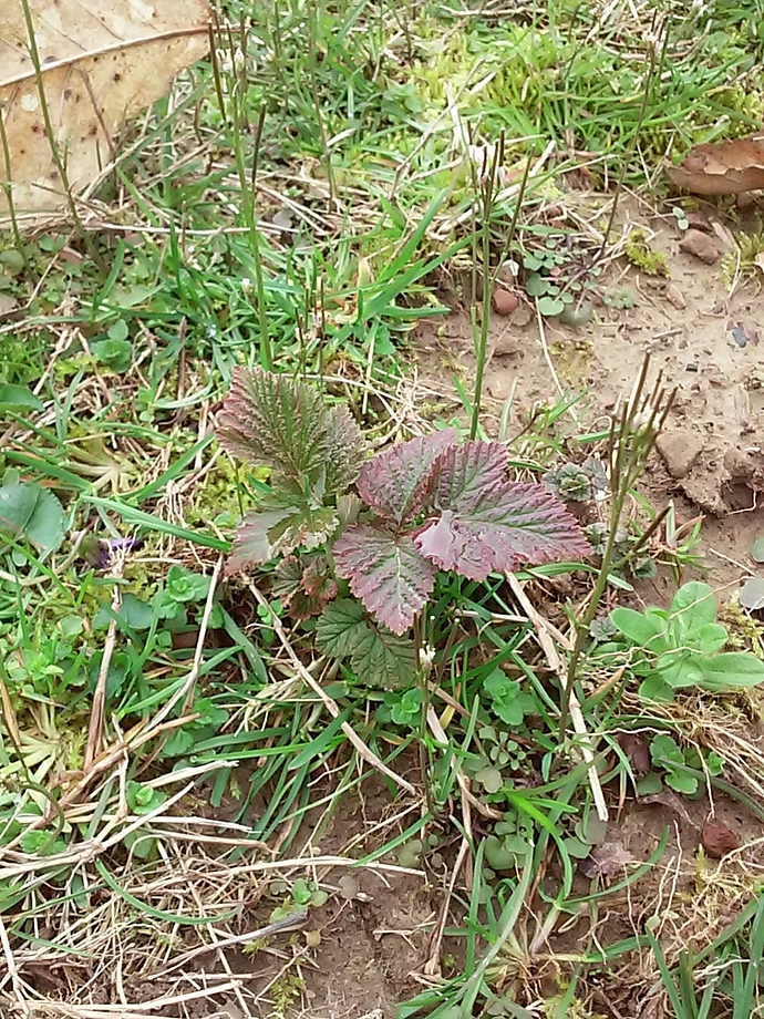 20180401_174745
