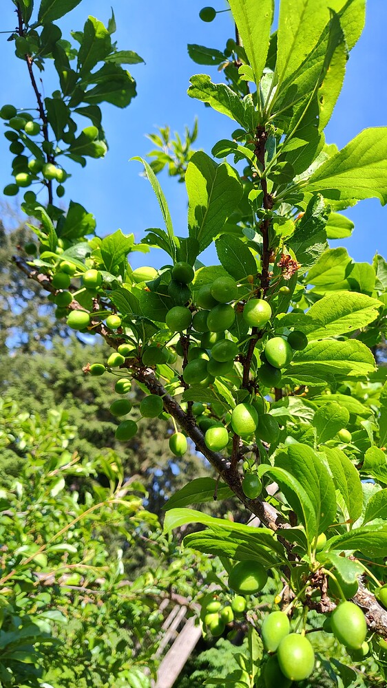 IMG_20250508_174718785_HDR