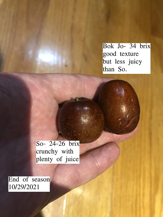 So_Bok_Jo_10-29-2021