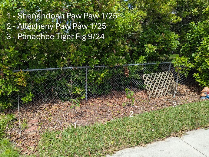 PXL_20250404_173351436