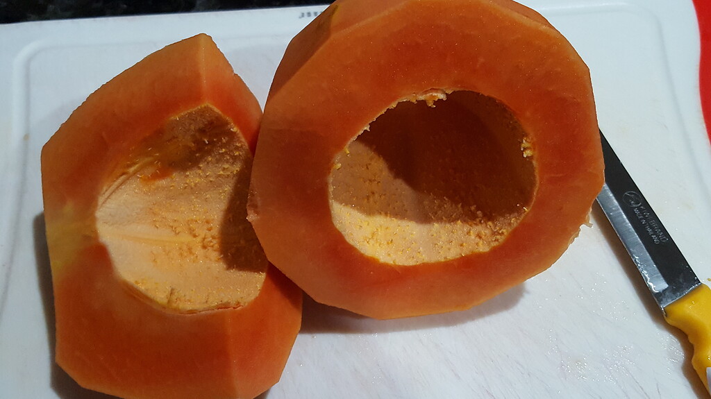 How To Plant Seedless Papaya