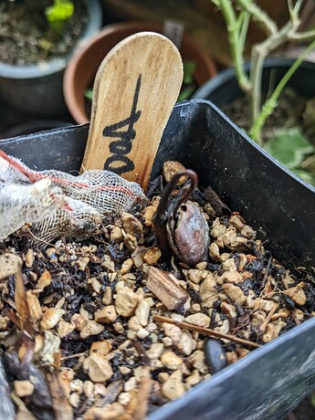 PXL_20230326_213746445