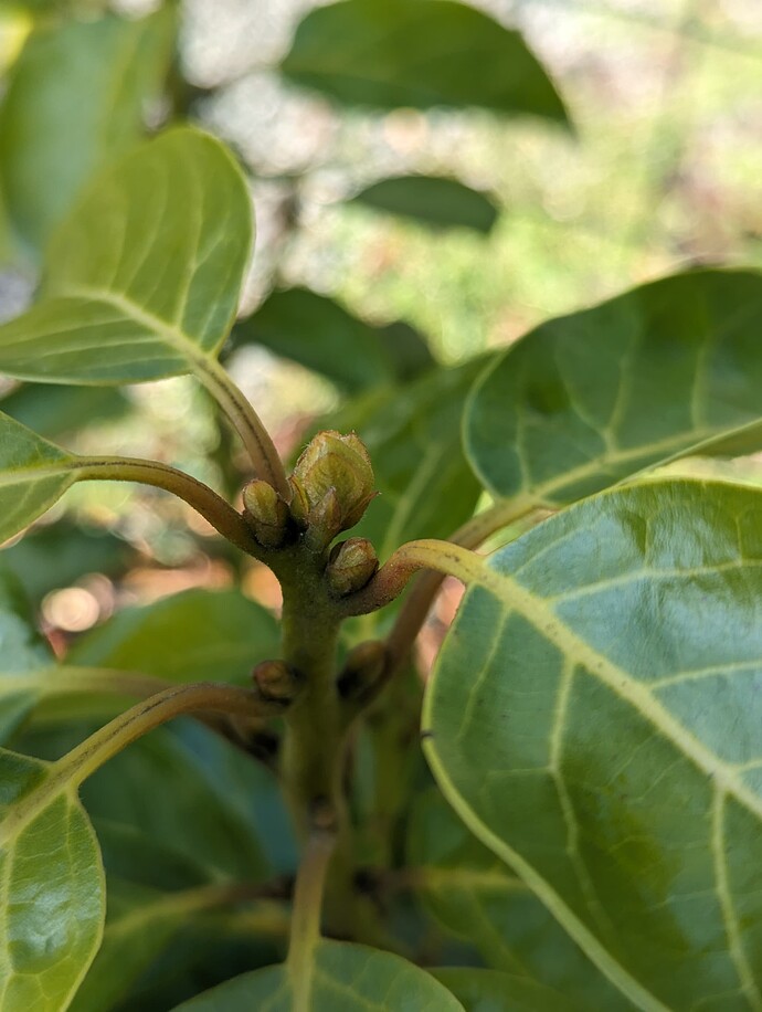 PXL_20240305_172749627