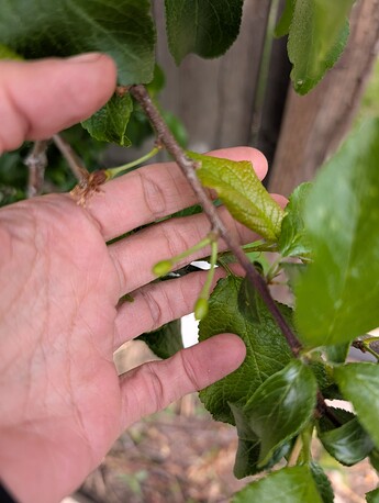 PXL_20250515_200107085