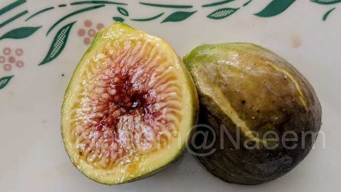 Sweet%20Joy%2009-27-19%20%201