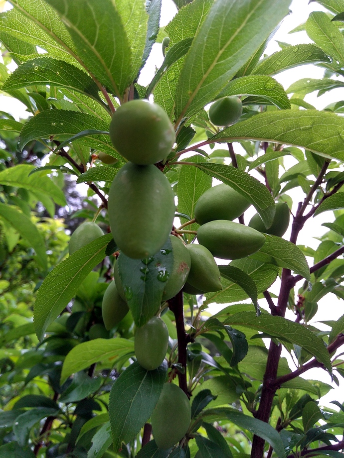 IMG_20190516_094000245_HDR