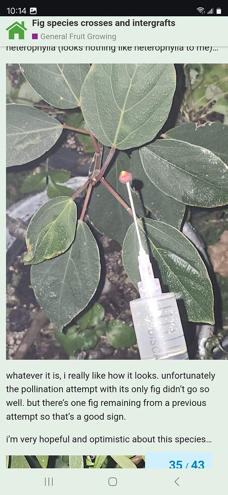 Screenshot_20241024_101412_Chrome