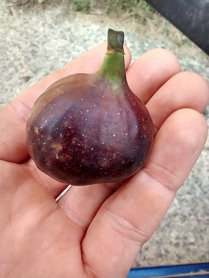 IMG_20201010_162437291_HDR