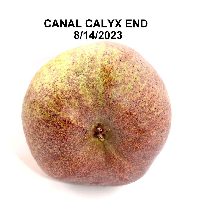 CANAL_CALYX8_14_001DSCrs_0025