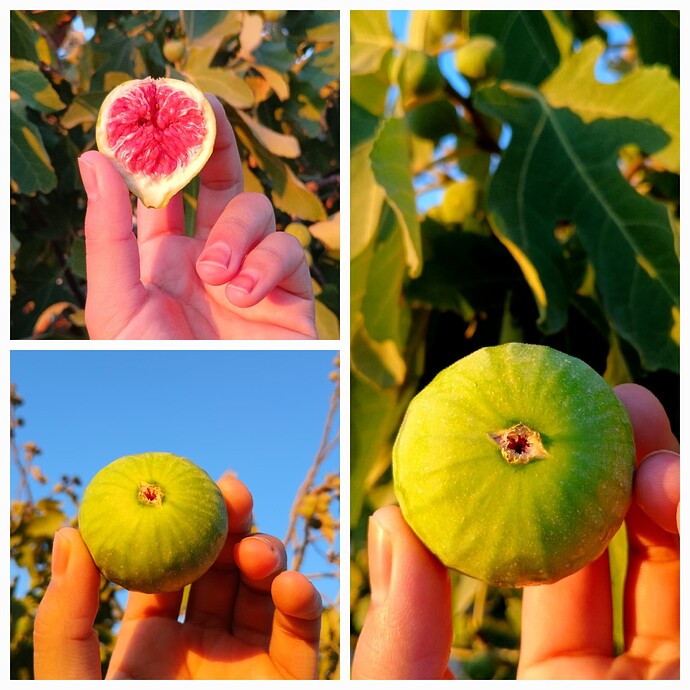 ٢٠٢٥٠٥١٢_١٩٤٤٣٥