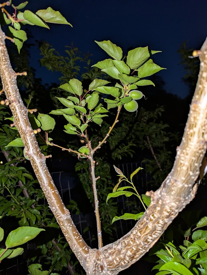 PXL_20250424_002733585