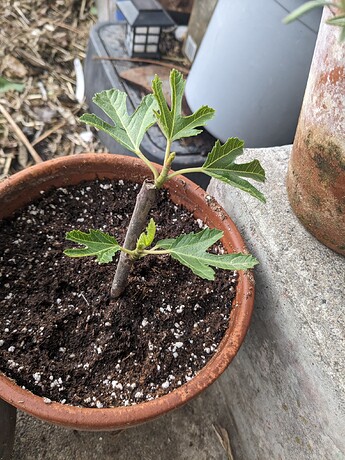 PXL_20240521_132536455