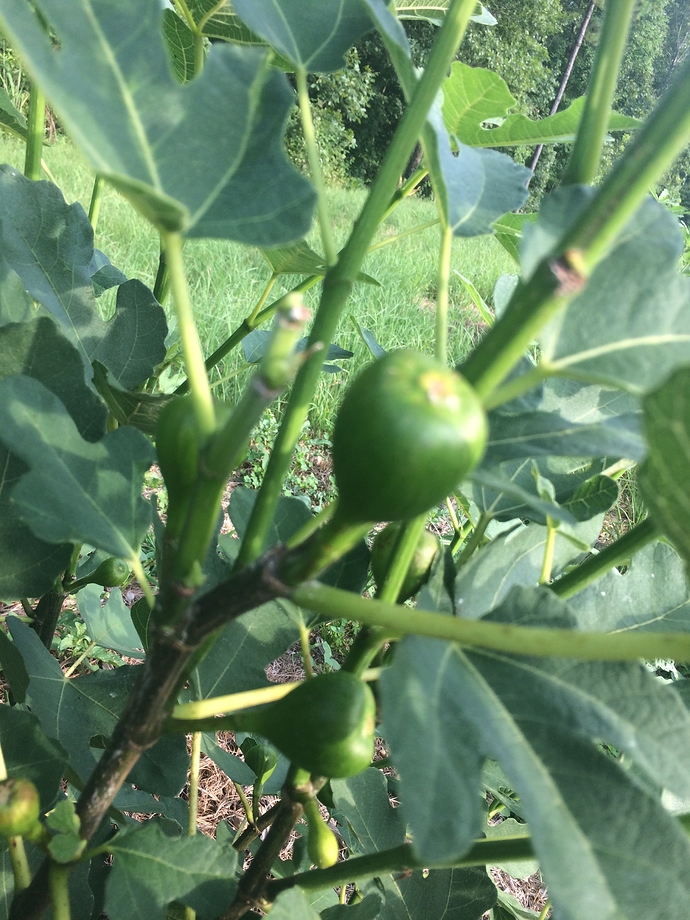 75E60537-A85A-4145-BF43-405FE69F1373