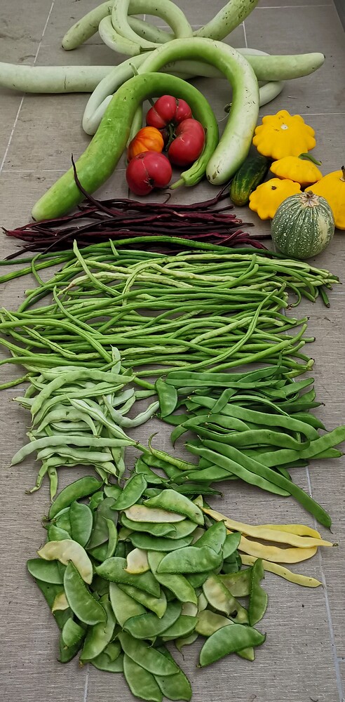 IMG_20210827_140754_edit_96885577833652