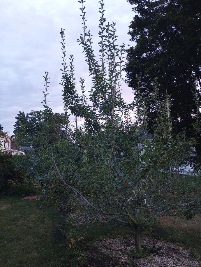 IMG_20220810_200249020