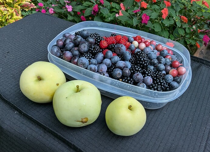 PXL_20240712_001358602