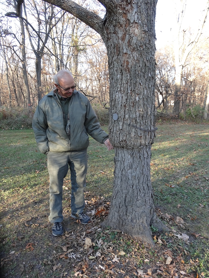 Pecan 'Colby' grafted on Carya ovata with Gary Fernald