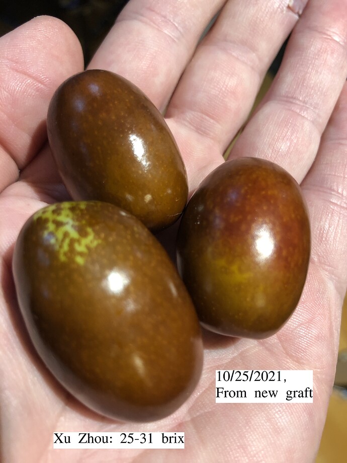 Xu_Zhou_g_10-25-2021