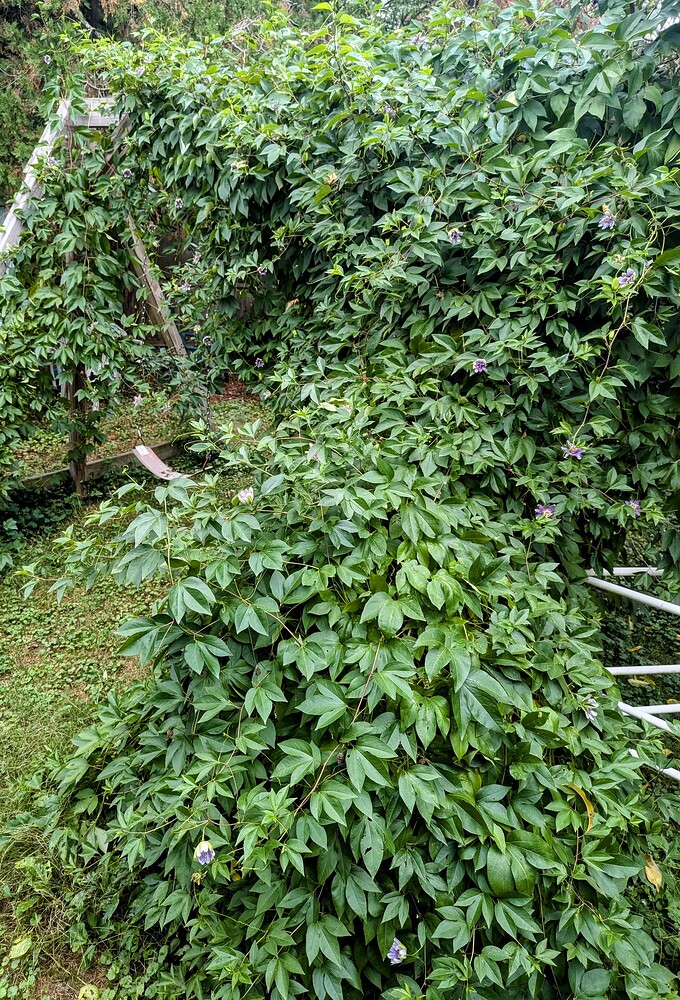 PXL_20241001_115322373~2