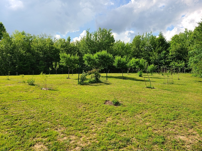 20200610_162453_copy_1612x1209