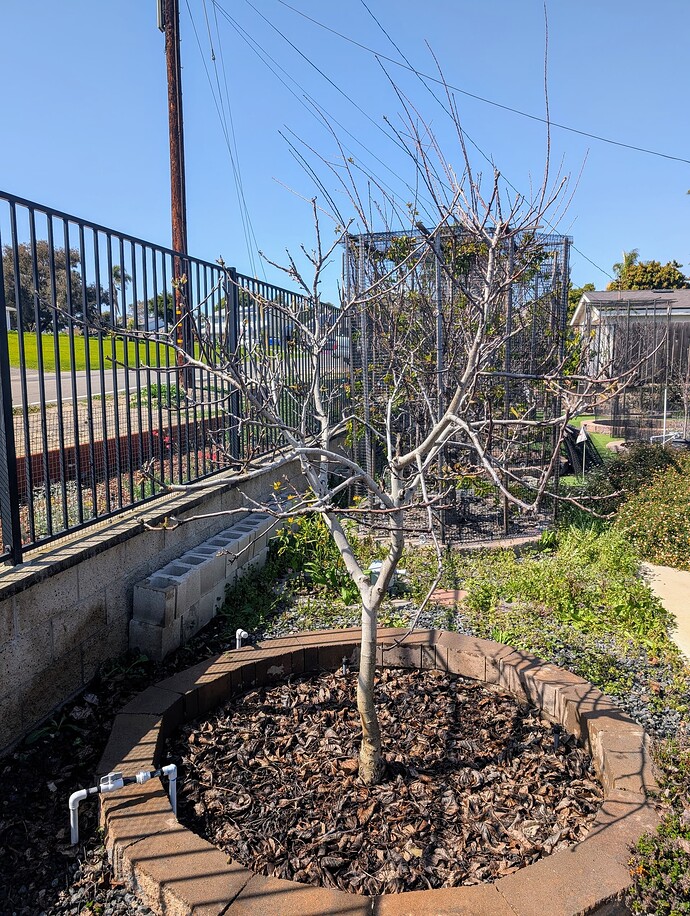 PXL_20250403_220052058~2