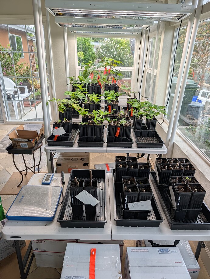 PXL_20250503_205412763